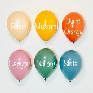Boho Rainbow Latex Balloons Boho Rainbow Muted Rainbow Mustard Burnt Orange Blue Slate Canyon Willow Boho Party Modern Rainbow Animal Parade