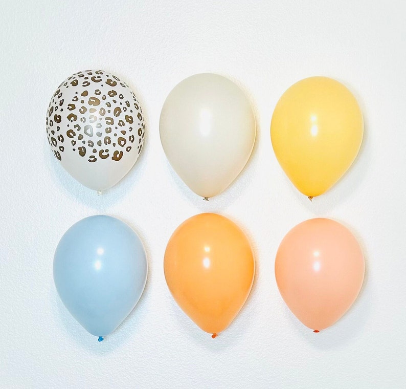 Custom Balloon Garland, Balloon Garland Kit, DIY Balloon Garlands, Balloon Garland, Organic Balloon Garland, Custom Balloon Arch, DIY Kits image 7