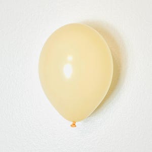 BLUSH Balloons Tuftex Blush Balloon Neutral Peach Balloon Tuftex Blush Peach Neutral Peach Balloon boho retro peach Balloon Peach Birthday