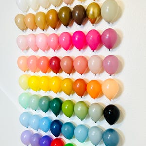 Puede incluir: Una pared decorada con un arco&iacute;ris de globos de varios colores, incluyendo blanco, dorado, marr&oacute;n, rosa, rojo, naranja, amarillo, verde, azul, morado y azul claro.