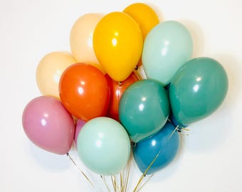 Boho Rainbow Latex Balloon Muted Rainbow Balloons Boho Rainbow Boho Latex Animal Parade Party Animal Birthday Retro Rainbow Silly Goose Bday