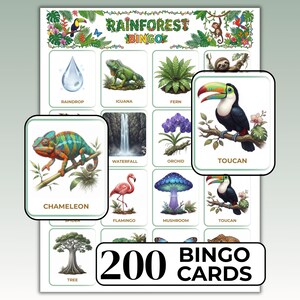 Op de afbeelding: Een regenwoud bingo spelset met een groot raster met illustraties van een regendruppel, leguaan, varen, waterval, orchidee, flamingo, paddenstoel en boom. Twee kleinere kaarten tonen een kameleon en een toekan. Tekst Rainforest Bingo en 200 Bingo Cards.