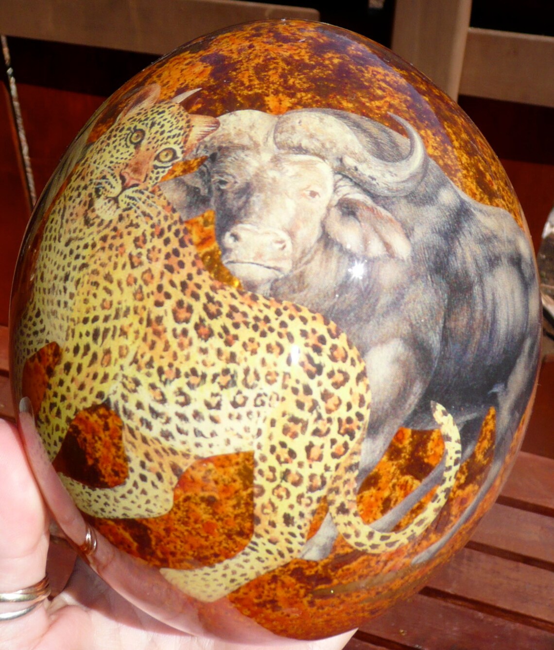 Big 5 Decoupage Ostrich Egg. Brown. Taxidermy Etsy