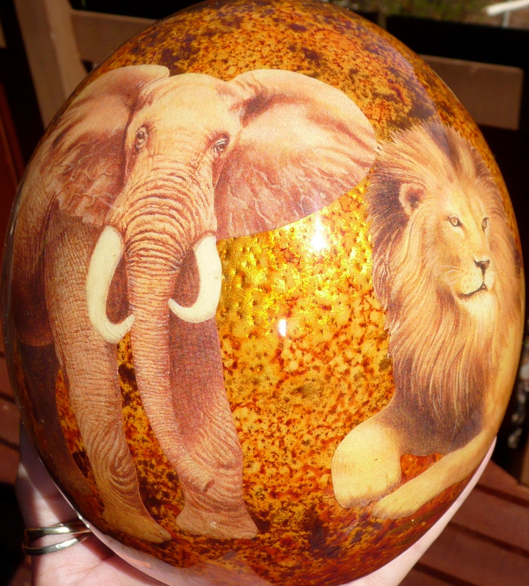 Big 5 Decoupage Ostrich Egg. Brown. Taxidermy Etsy