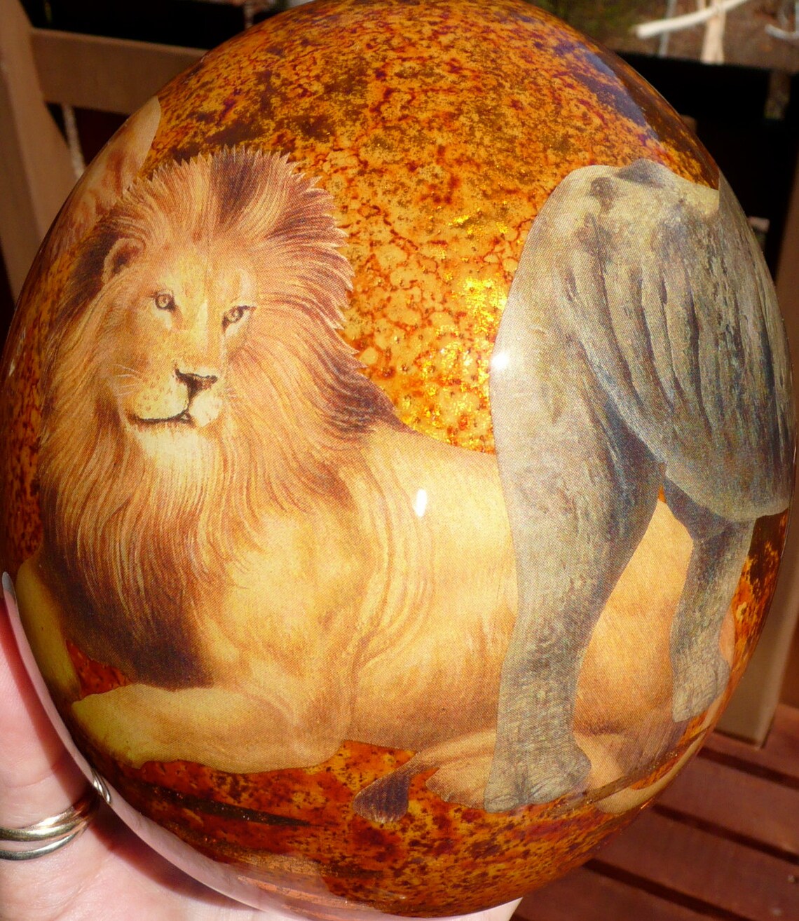 Big 5 Decoupage Ostrich Egg. Brown. Taxidermy Etsy