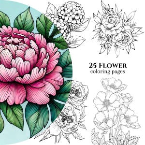 25 Flower Themed Coloring Pages, Flower Coloring Book, Adult and Kid coloring book, Digital Download, Printable PDF, Flower Coloring Pages