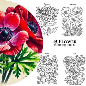 45 Flower Themed Coloring Pages, Flower Coloring Book, Adult and Kid coloring book, Digital Download, Printable PDF, Flower Coloring Pages