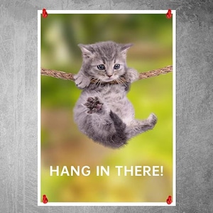 Hang in There Cat Poster Funny Motivational Wall Art, Inspirational Print Canvas for Home Decor