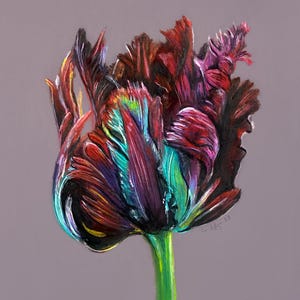 Juego de 9 postales florales: arte botánico dibujado a mano. Regalo perfecto para amantes de la naturaleza, compradores conscientes del medio ambiente y entusiastas de la jardinería.