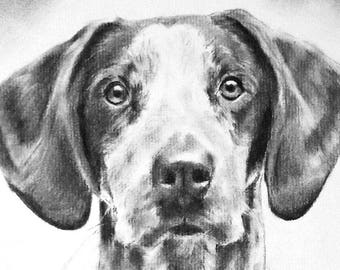 Custom dog portrait from photo - commission a portrait from your favorite photograph