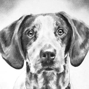 Custom dog portrait commission from photo