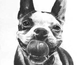 Custom DOG PORTRAIT from photo - commission a portrait from your favorite photograph