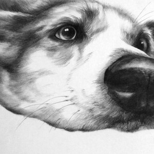 Custom DOG PORTRAIT from photo commission a portrait from your favorite photograph image 3