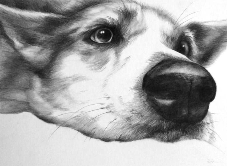 Custom DOG PORTRAIT from photo commission a portrait from your favorite photograph image 3