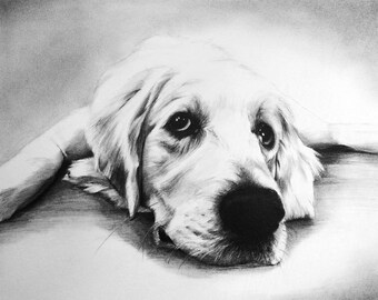 Custom dog portrait from photo - commission a portrait from your favorite photograph