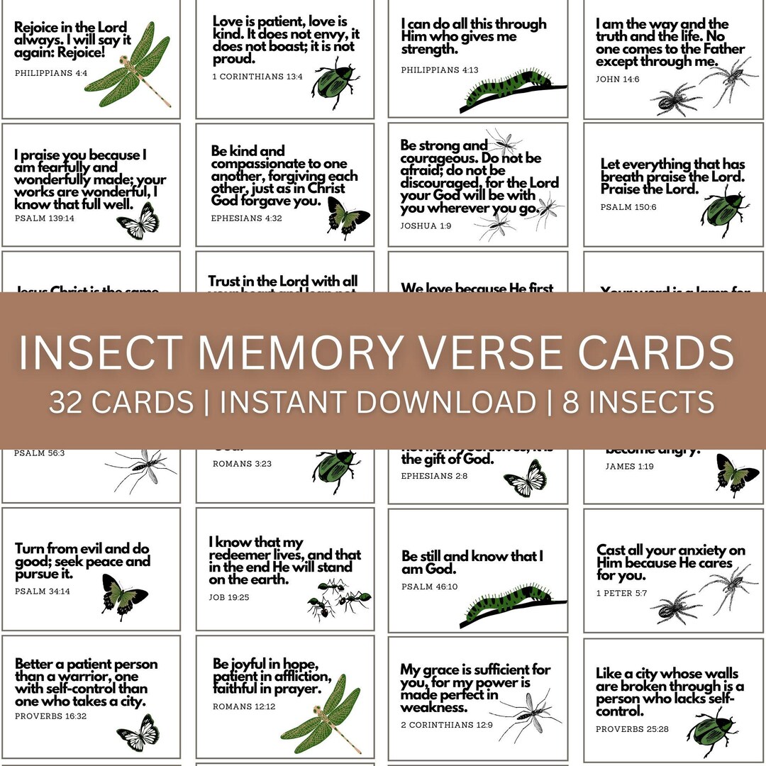 Bibble With Insect Insect Memory Verse Cards | Bible Memorization | Christian Bug Themed ...