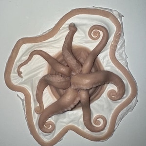 Könnte beinhalten: Eine detaillierte, fleischfarbene Oktopus-Skulptur mit acht sich kräuselnden Tentakeln. Die Skulptur steht auf einer weißen, unregelmäßigen Basis mit einem erhabenen, hellbraunen Rand. Die Tentakel sind um einen zentralen Körper angeordnet.