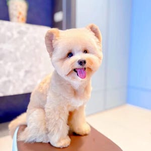 Handgefertigte Custom Haustier Figur - Personalisierte Katzen und Hunde Andenken, Geburtstagsgeschenk
