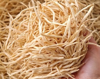 Safed Musli Root | Dried Herbal Root | Indian Botanical