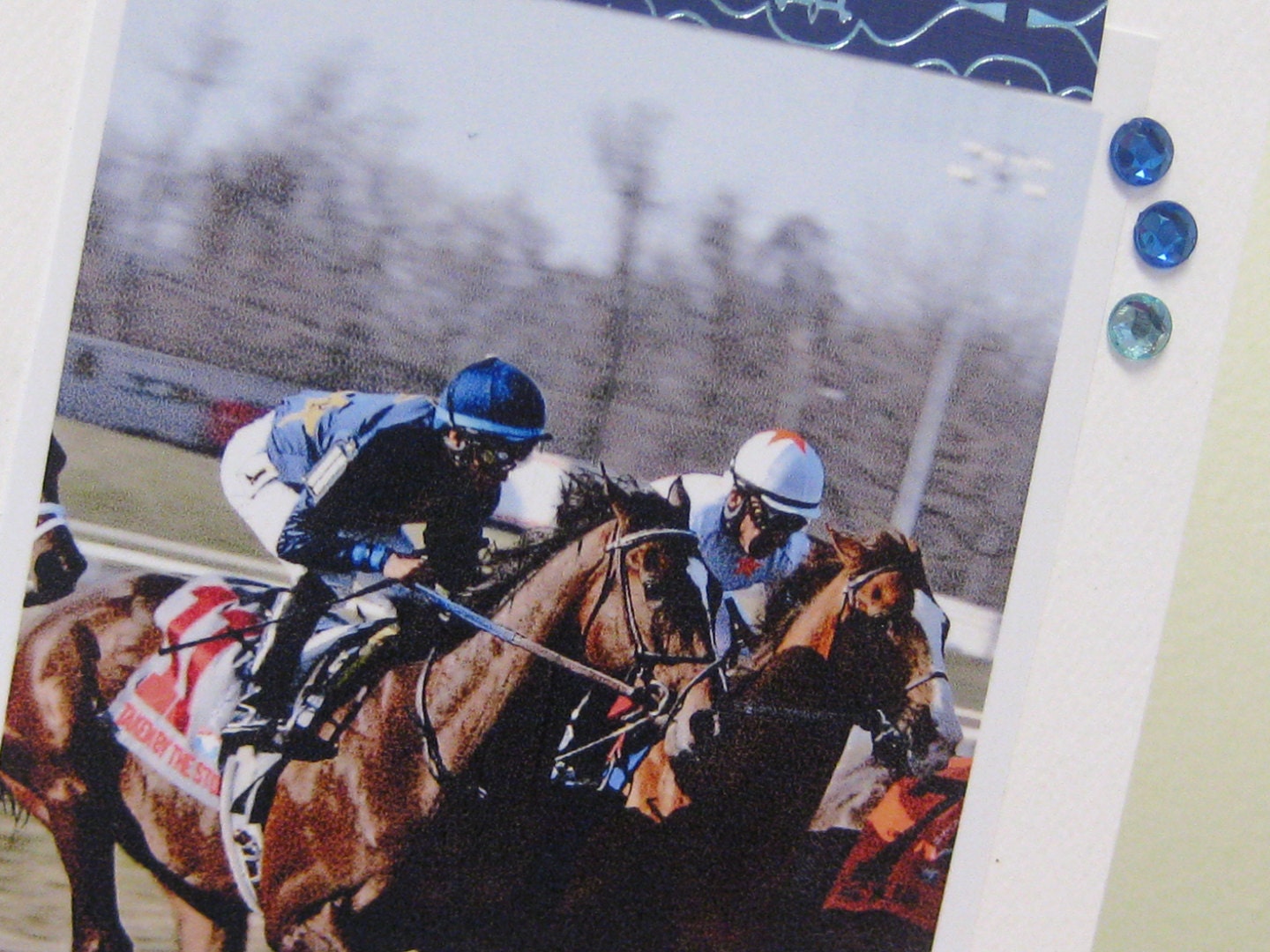 Kentucky Derby Spring Meet Racehorse fine art greeting card Etsy