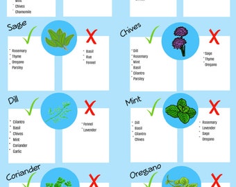 Essential Oils & Their Uses Printable Chart, Essential oil chart, Essential oil uses, Essential oil printable, Essential oil reference guide