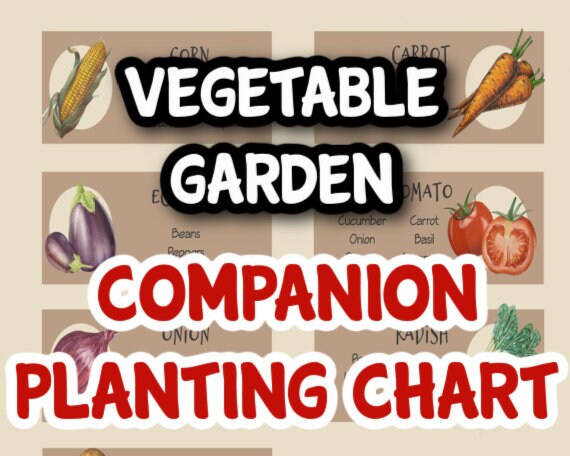 Image of Printable companion planting chart for vegetables in different languages