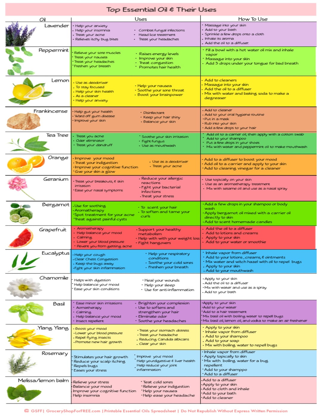 Oil 31: Uses, Benefits and Properties -  Blog