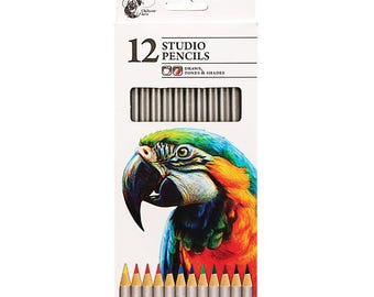 May include: A pack of 12 studio pencils featuring a vibrant parrot design. The white box displays the text "12 Studio Pencils" and "Draws, Tones & Shades." The pencils are silver with coloured tips, ideal for drawing and shading.