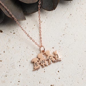 Customized Pet Necklace – S925 Silver, Personalise Necklace,  Personalised Gift, Necklace for Women, Cat Lover Gift, Dog Lover Gift