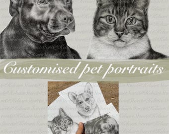 Custom pet portrait, realism pencil graphite sketch hand-made. Digital file download only