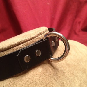 Stainless Steel D-Ring Leather Collar