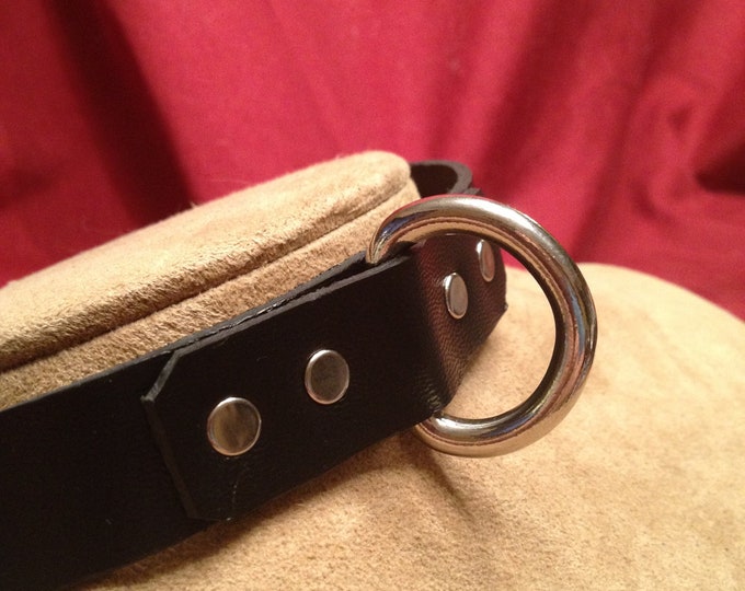 Stainless Steel D-Ring Leather Collar