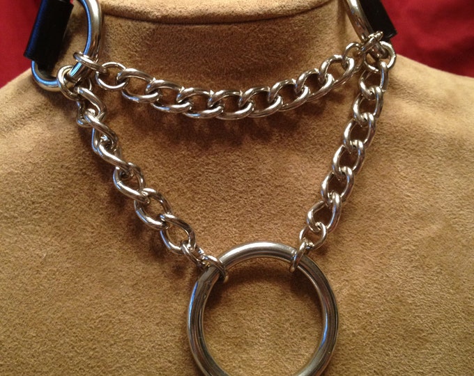 Stainless Steel Chain Collar with 1 1/2" Ring with free domestic shipping