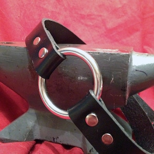 Stainless Steel O-Ring Leather Collar