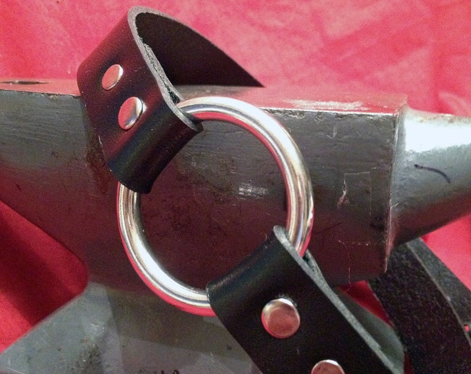 Stainless Steel O-Ring Leather Collar
