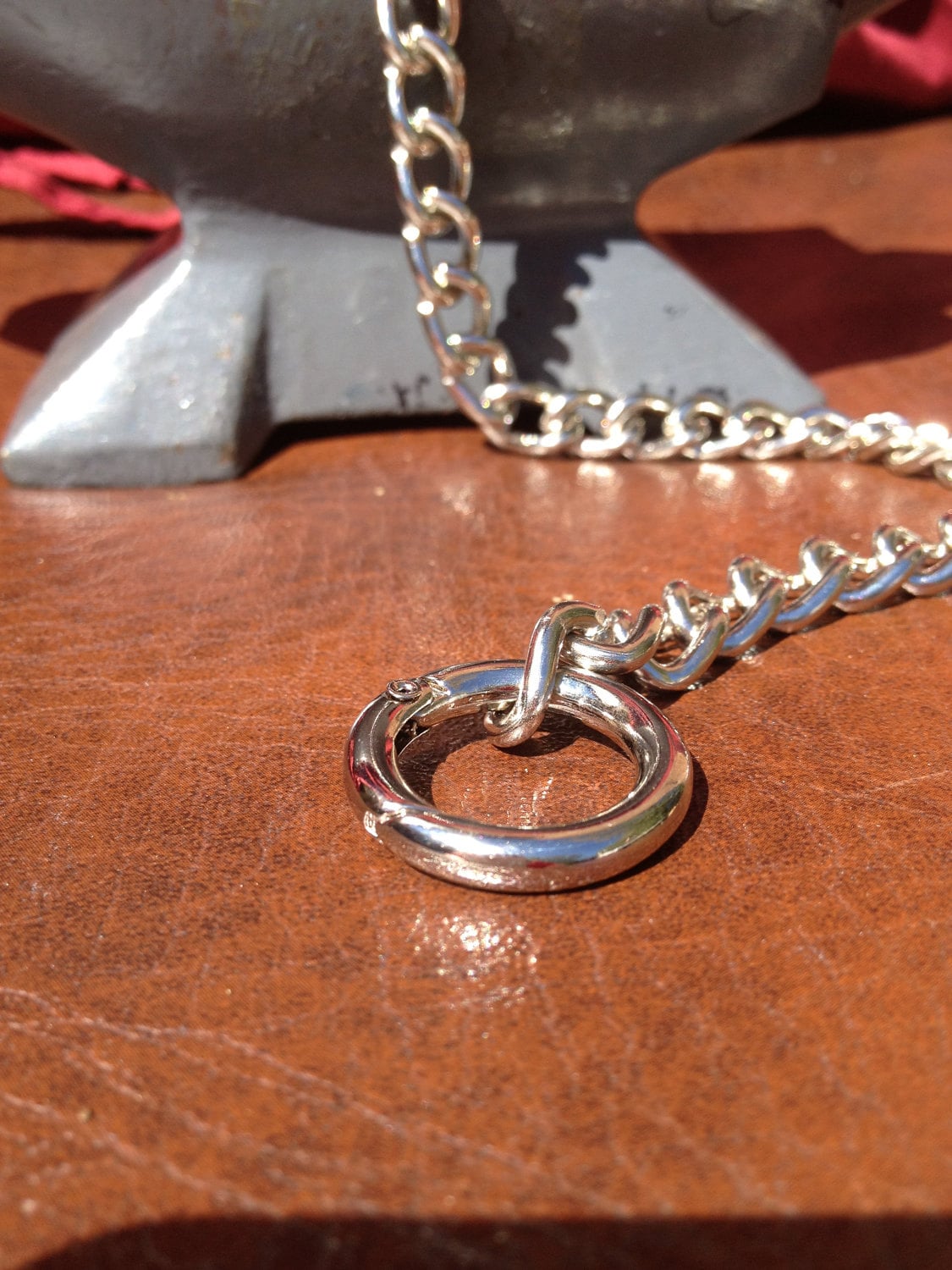 Stainless Steel O-ring Necklace