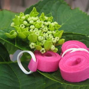 May include: A close-up of a green hydrangea flower with pink and white party poppers on a green leaf.