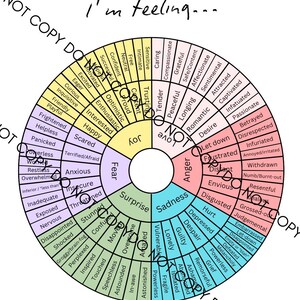 May include: A colorful wheel diagram titled "I'm feeling..." with sections labeled "Joy," "Fear," "Anger," and "Sadness." Each section contains a range of emotions, such as "Happy," "Scared," "Lonely," and "Frustrated."
