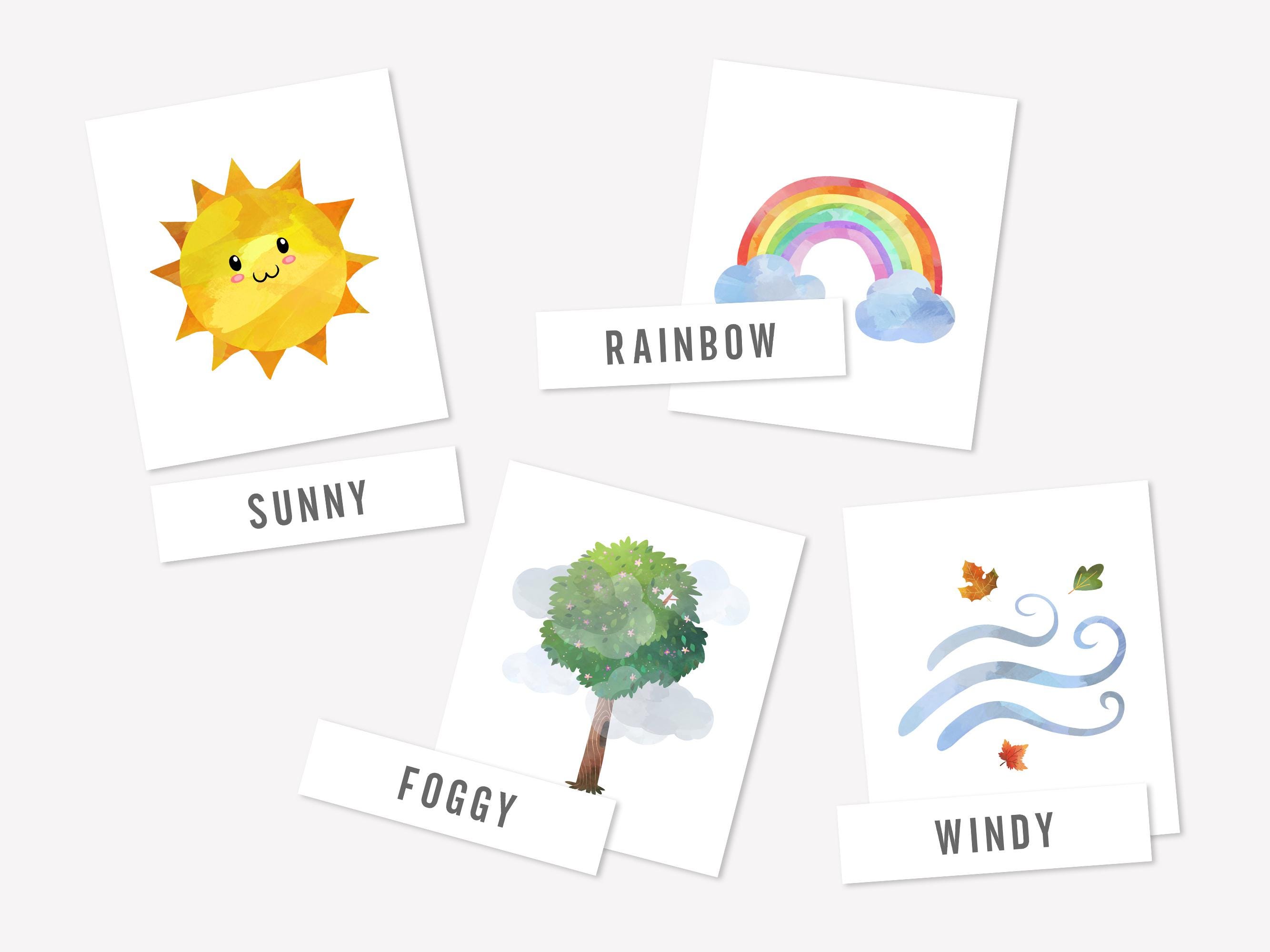 16 WEATHER Flashcards, Montessori Cards, Weather 3 Part Cards ...