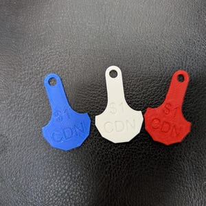 3D Printed Shipping cart Keys - Set of 3 Loonie Cartkeys