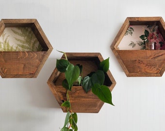 Hexagon Planter Plank / zeshoek planken, geometrische plank, honingraatplank, boho wanddecor, natuurmuurkunst, vintage behang, moderne plank