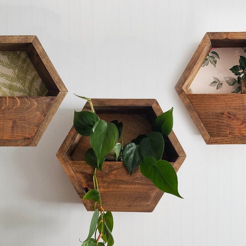 Hexagon Planter Shelf / Hexagon Shelves Geometric Shelf Etsy