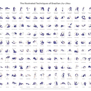 Pode incluir: Um cartaz branco com o título "The Illustrated Techniques of Brazilian Jiu-Jitsu" apresenta inúmeras ilustrações de técnicas de grappling. Cada ilustração mostra figuras em várias posições, com etiquetas abaixo.