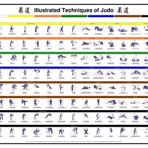 Techniken des Judo Poster – IJF - Printable PDF