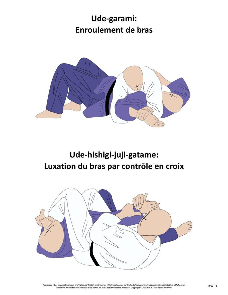 The 100 Illustrated Techniques Of Judo Book FRA Etsy the-100-illustrated-techniques-of-judo-book-fra-etsy