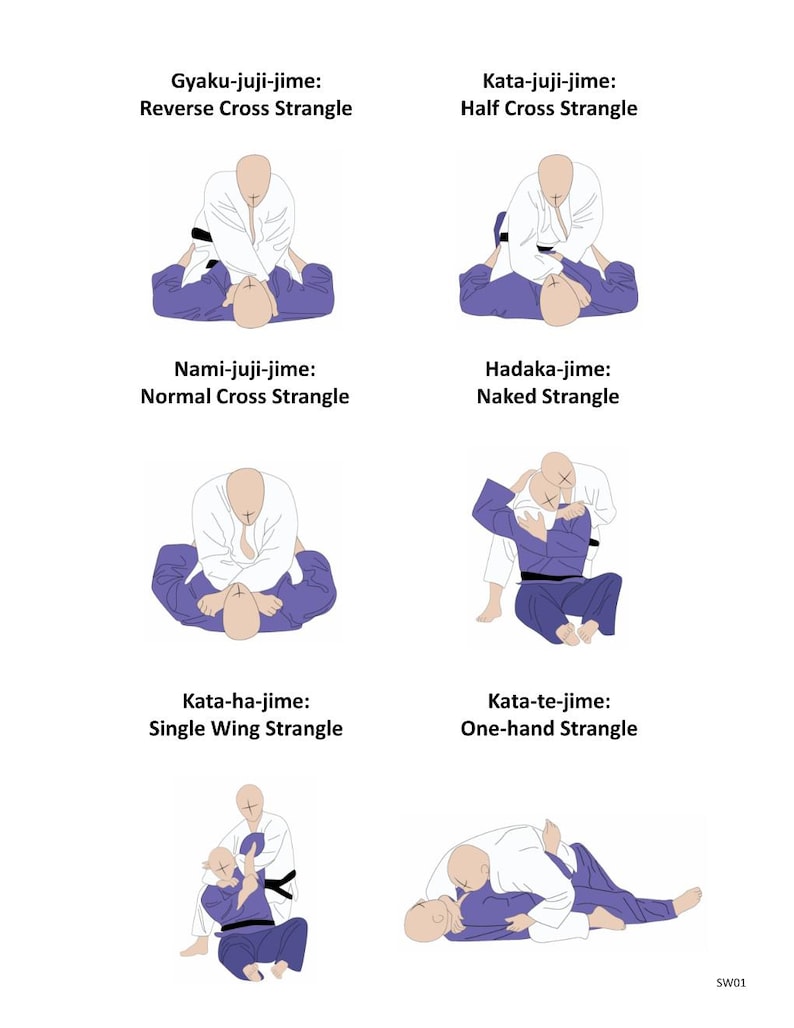 The Illustrated Book of Judo Techniques - Book 1 - Etsy