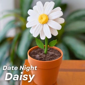 May include: A decorative daisy flower in a terracotta pot. The daisy has white petals and a yellow centre. The pot sits on a wooden surface, with the text "Date Night Daisy" in white.