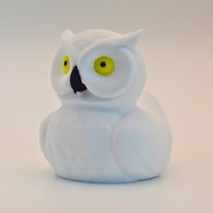 Jeep Ducking Ducks - Animal Blend Style 2 - Unique Rubber Duck Versions- Home and Automible Decor - Kids Toy and Decorations