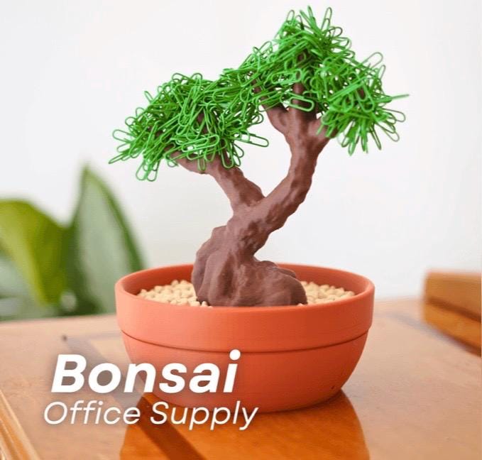 Bonsai Supply - Etsy