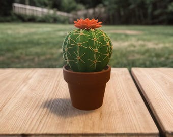 Spikey Spices Salt and Pepper shaker